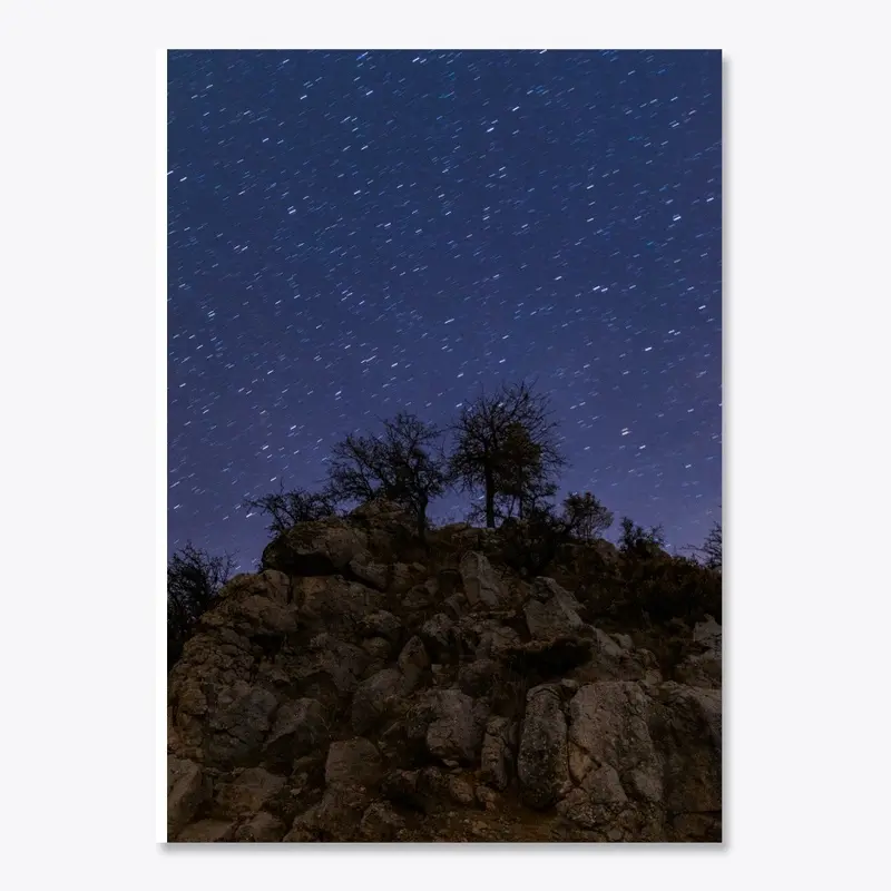 Cute Trees under the Starry Night